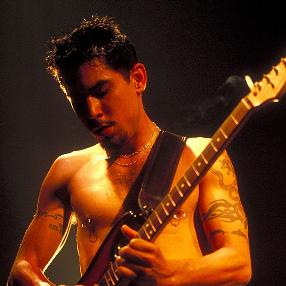 gradvist Fødested meget fint Dave Navarro · RHCP Live Archive